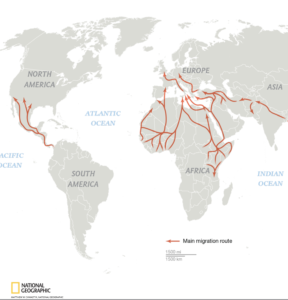 world migration map 2022
